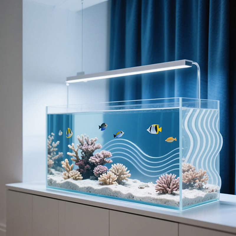 Acrylic Square Fish Tank