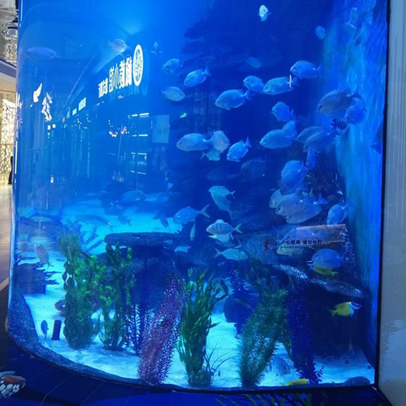 Acrylic Large Aquarium Fish Tank