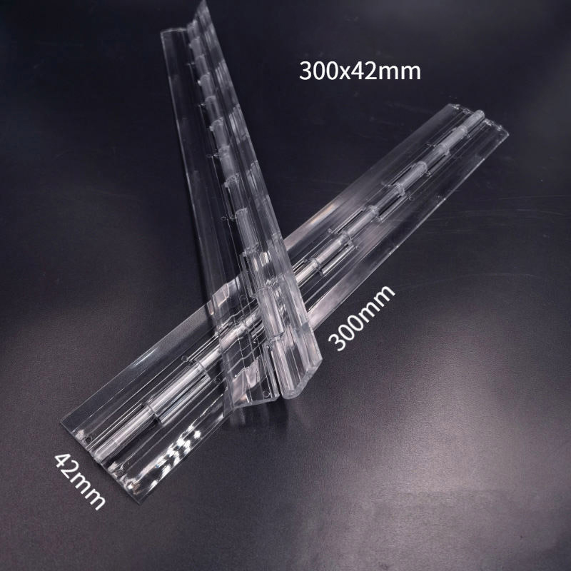 Acrylic Transparent Hinge