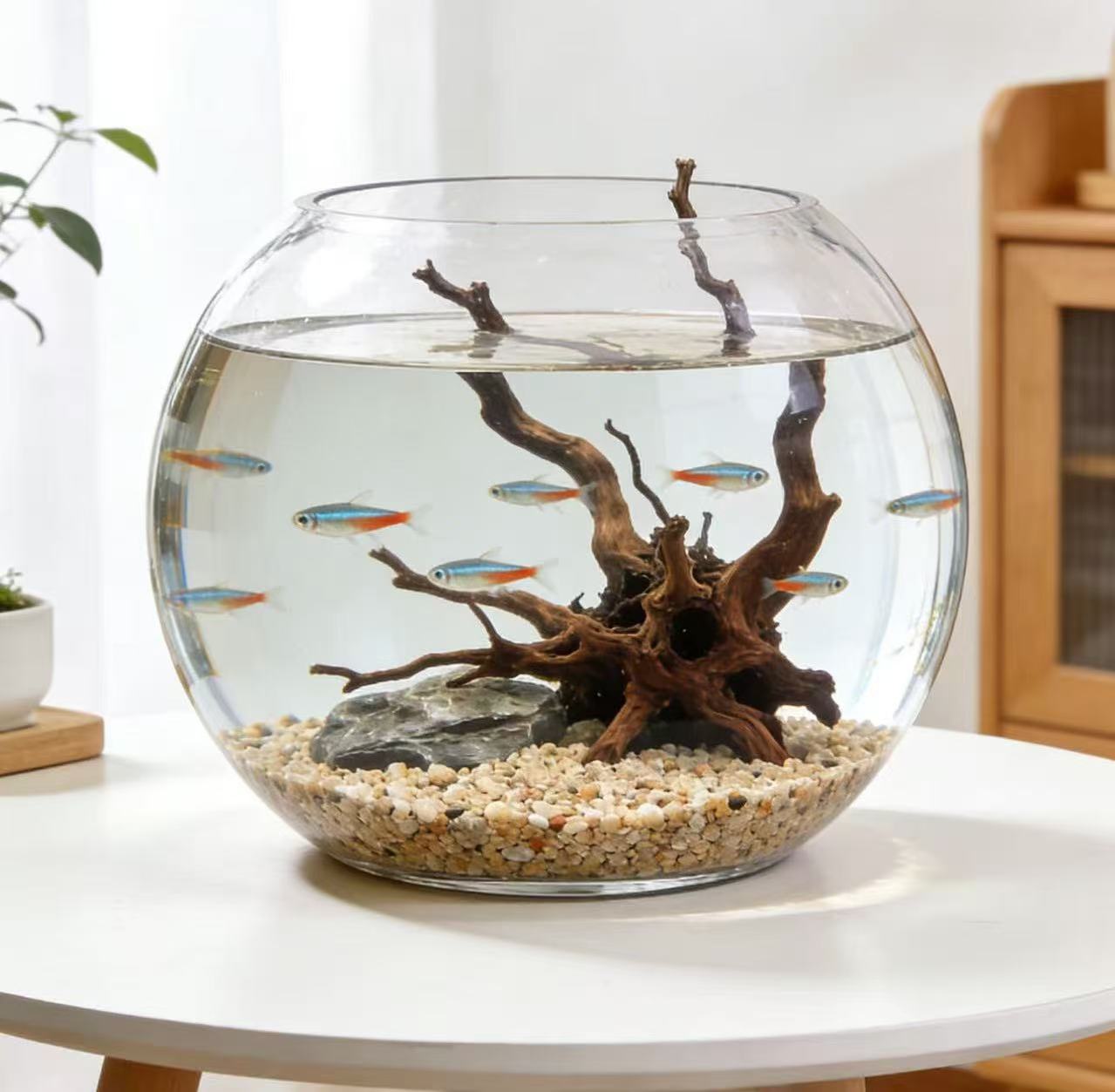 Durable as new, the round fish tank is the ultimate beauty