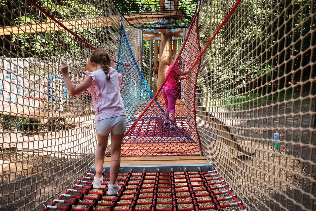 Treetop Rope Course
