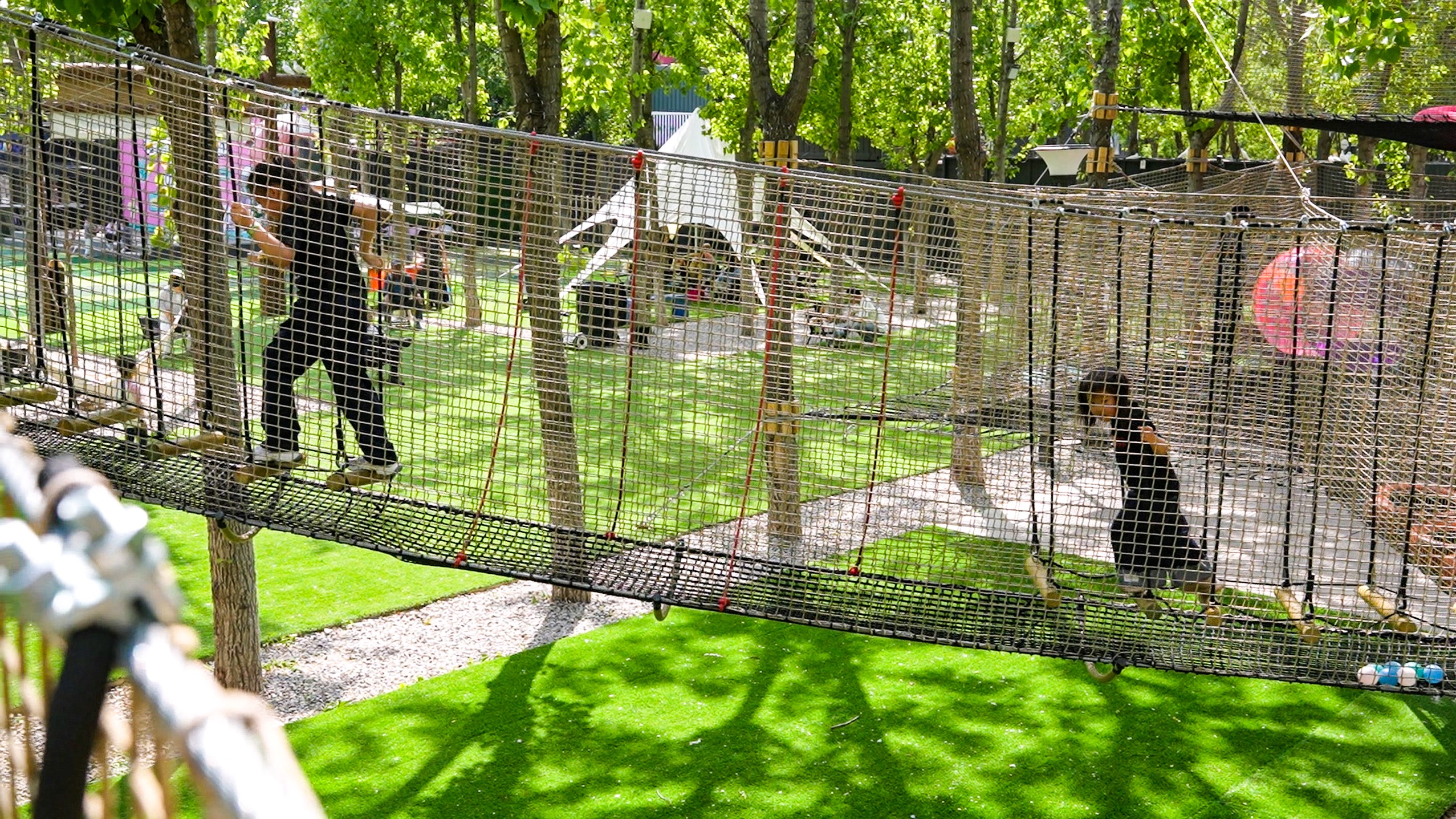 Forest Adventure Park