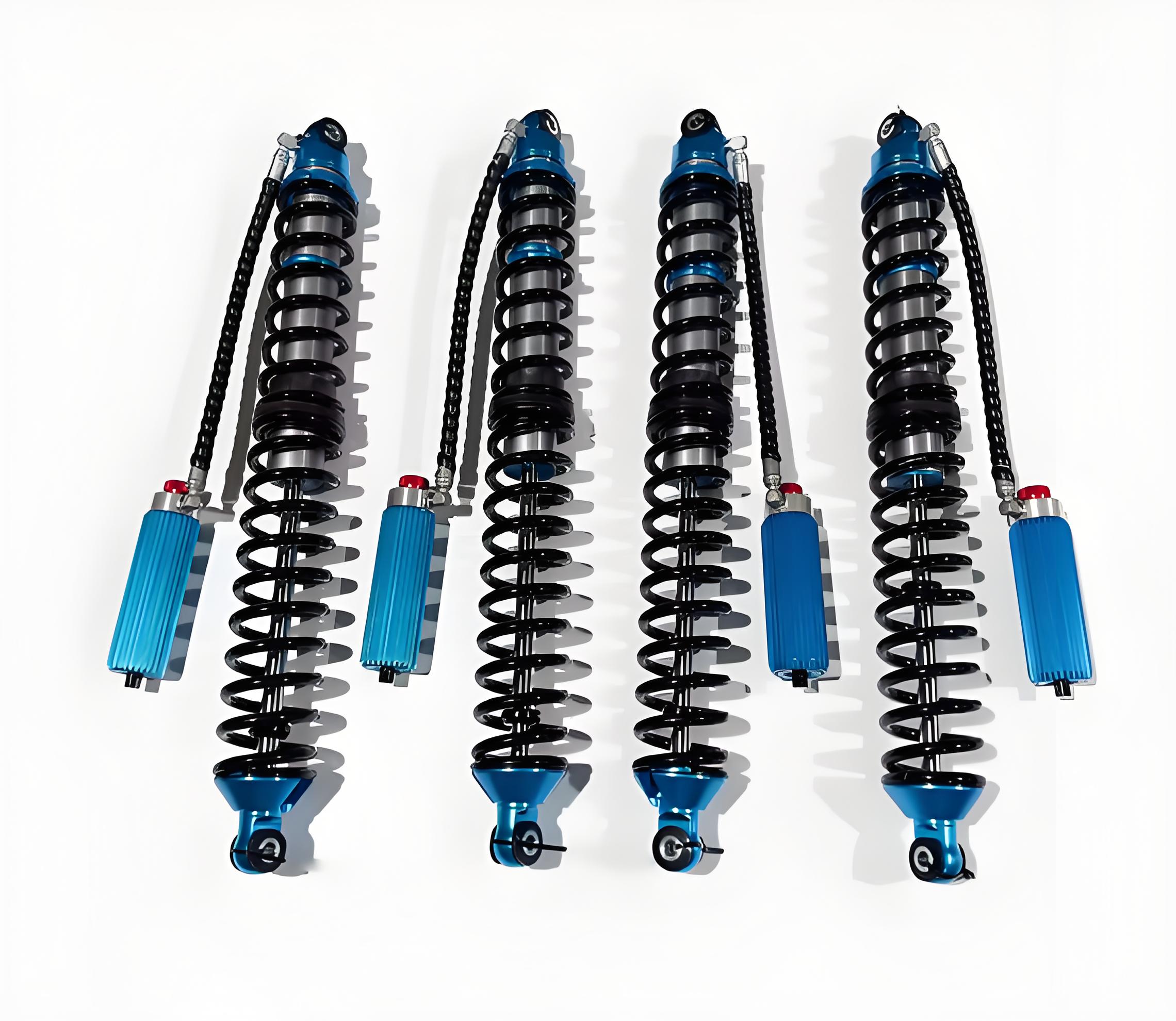 Q5: What is your payment term, and which payment forms do you accept? 