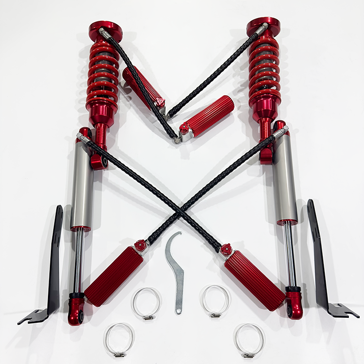 BJ BAW Warrior (year 2019)