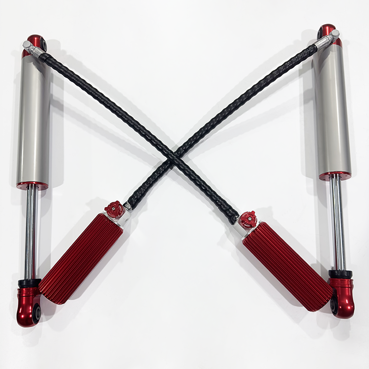 BJ BAW Warrior (year 2019)