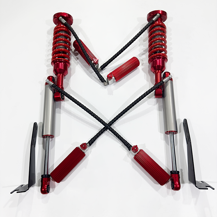 BJ BAW Warrior (year 2019)