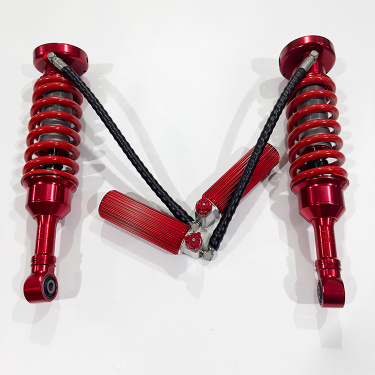 BJ BAW Warrior (year 2019)