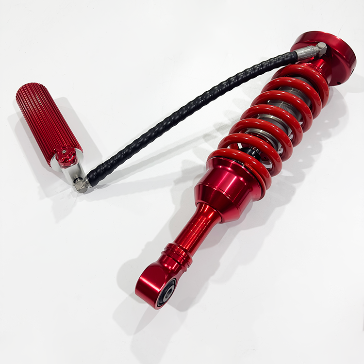 BJ BAW Warrior (year 2019)