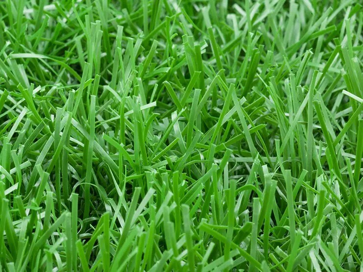 SUNLISCAPE™ WQE2-M