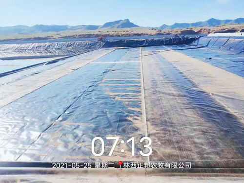 Zhengbang Pig Breeding Project