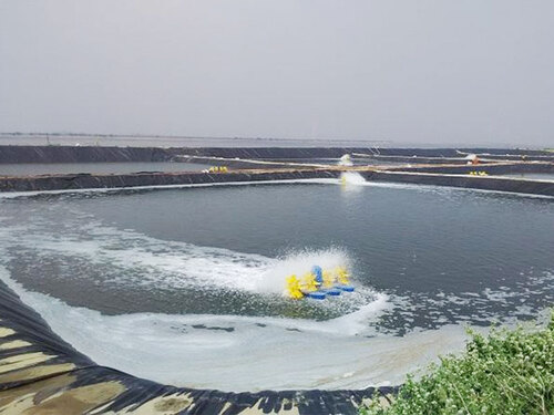 Fishery Aquaculture Project