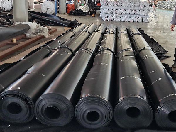 f073a55459f12f4b97b496e13768f6efa33efc1ce0119-q58qpR