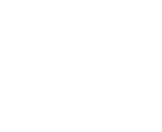 LOGO-b