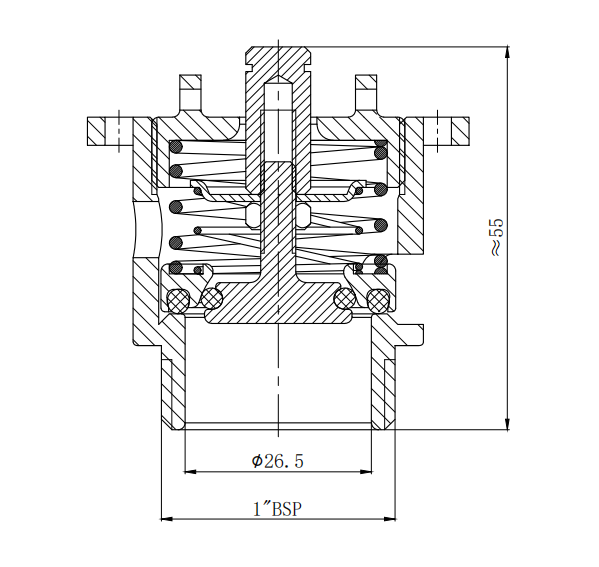 DN25  1”BSP Relief valve