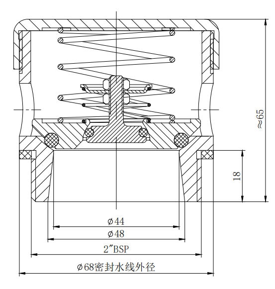 DN50  2”BSP Relief Valve