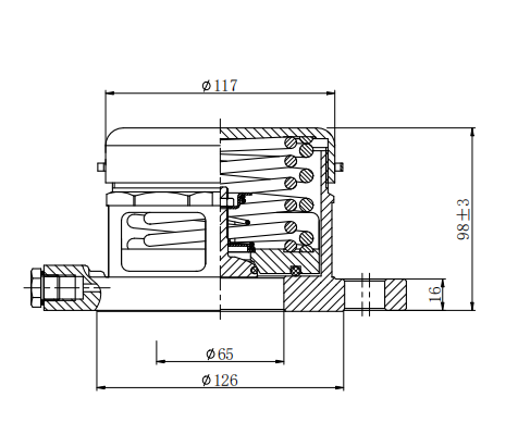 DN65  2.5” Flanged Relief Valve