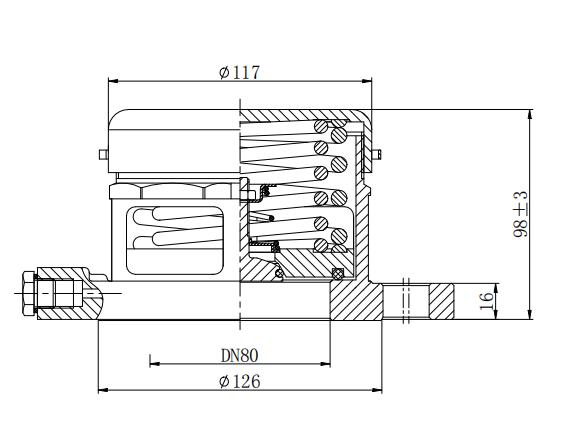 DN80  3” Flanged  Relief  Valve (Super Maxi)