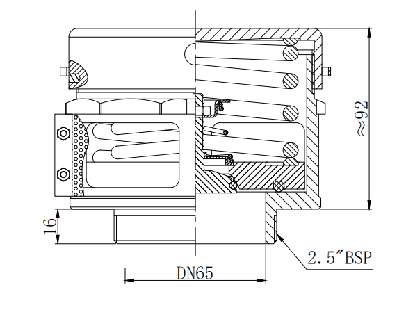 DN65    2.5” BSP Relief Valve