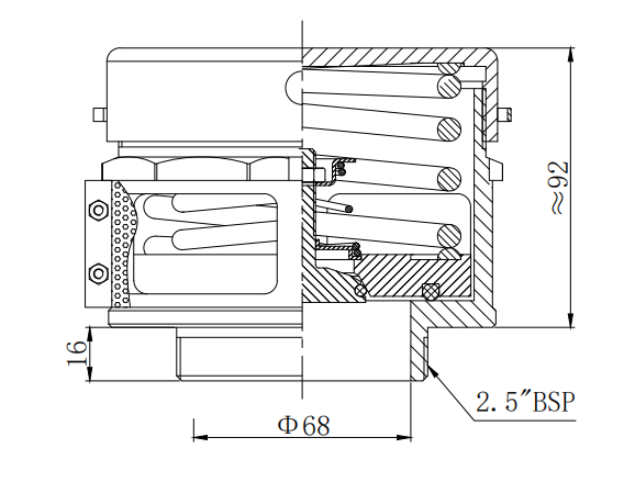 DN65    2.5” BSP Relief valve（Super Maxi）