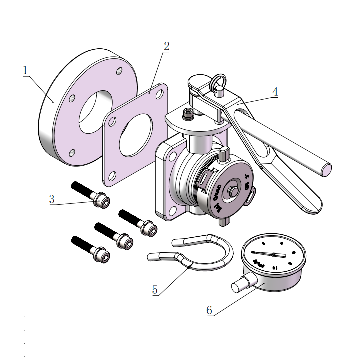 DN50     2”BSP Airline Butterfly Valve