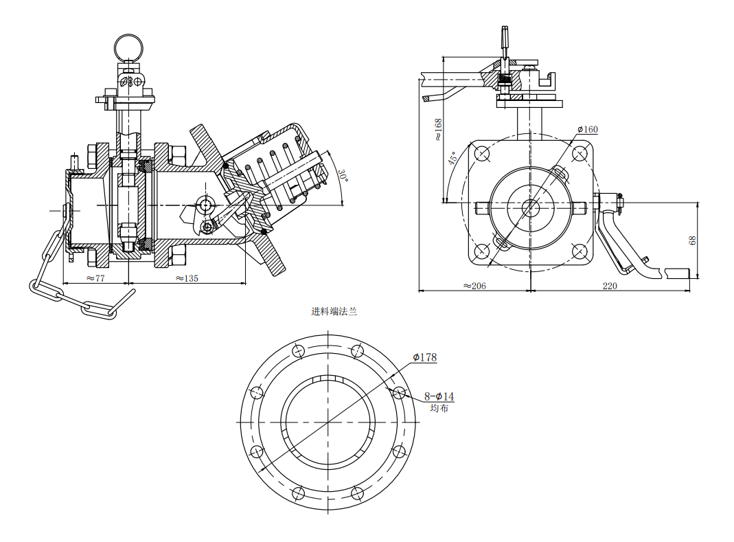 DN80  3＂30°Bottom Discharge Valve
