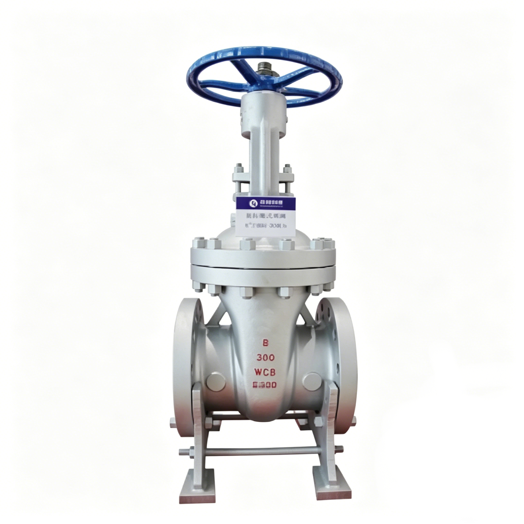 API Cast Steel Gate Valve