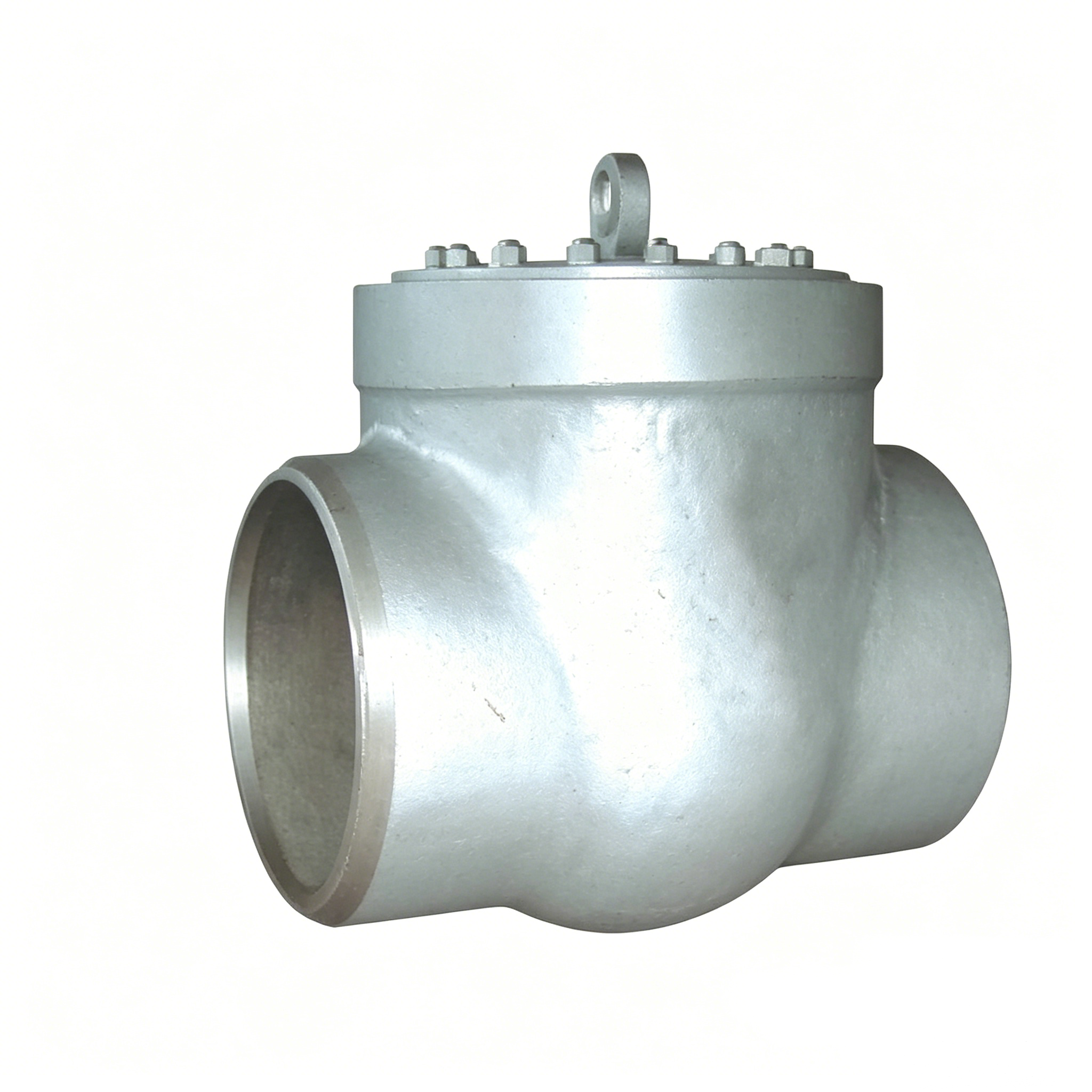 Self Sealing(PS) On Swing Check Valve