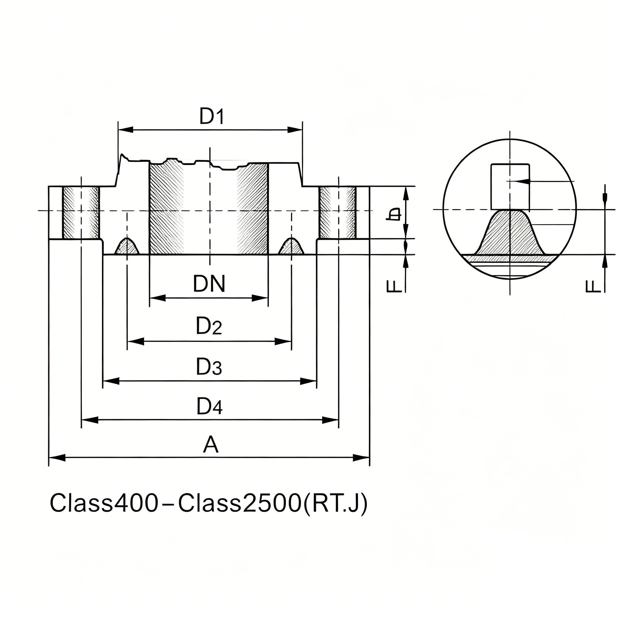 ANSI Flange