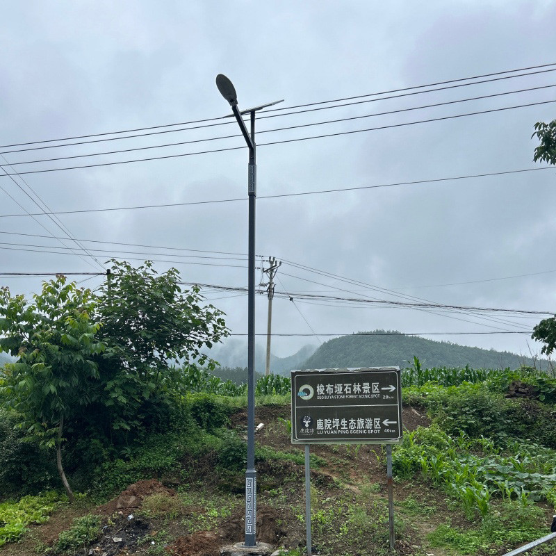 Solar street light installation case 2