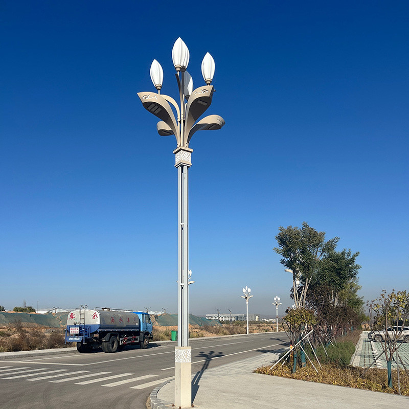 Yulan Lamp Installation Site