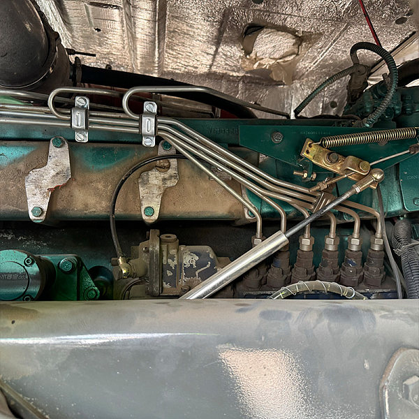 Holo Green White8x4 Détails 10