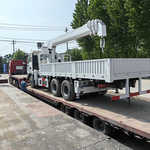 Détails 5 du camion porte-voiture blanc HOWO