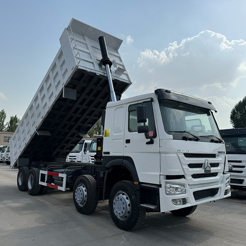 Camion à benne basculante SINOTRUK HOWO 8x4 Premier camion à benne basculante robuste pour les projets de grande envergure