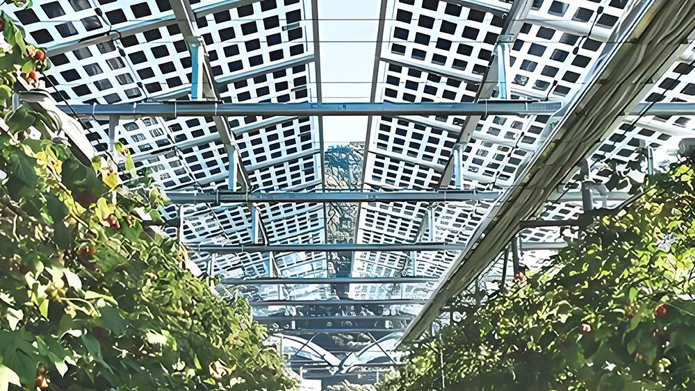 Italy Releases New Regulations on Solar Project Site Selection and Solar Tax Incentives