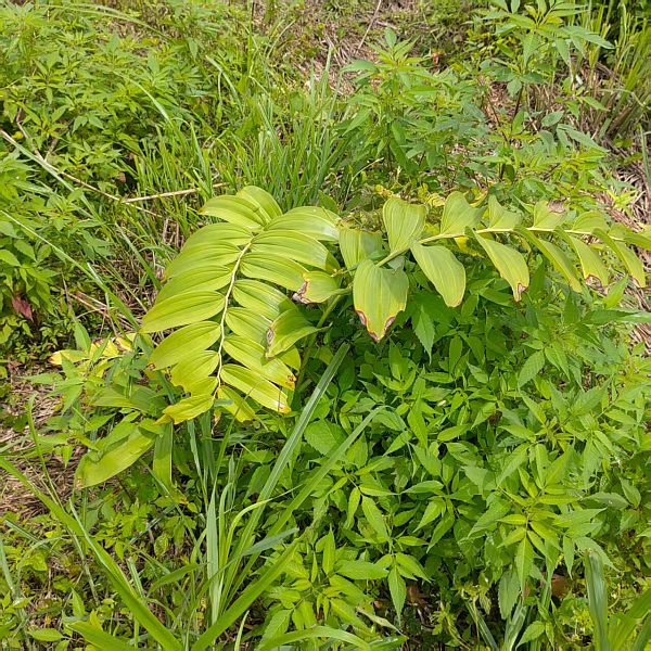 2cd13a25c998d3a84afa91173626eec