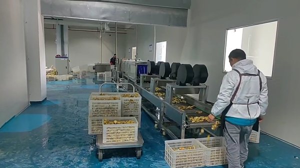 07649ee1bd763f1ba7ea85229dc042e