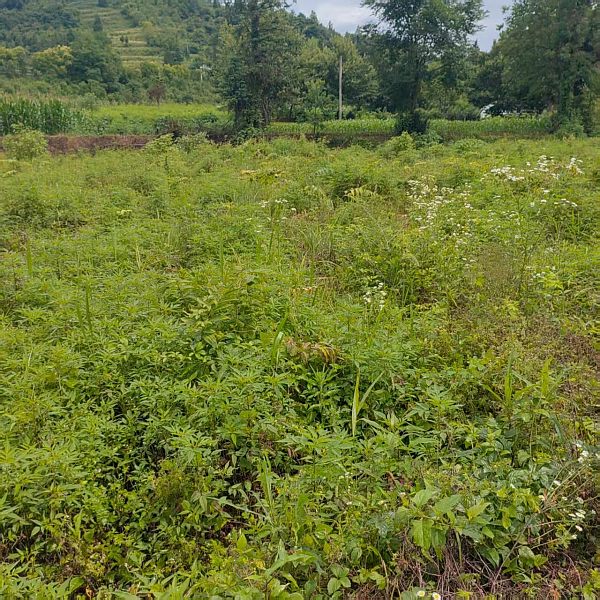 65b901fe2273c4f6b132dc2e2054489