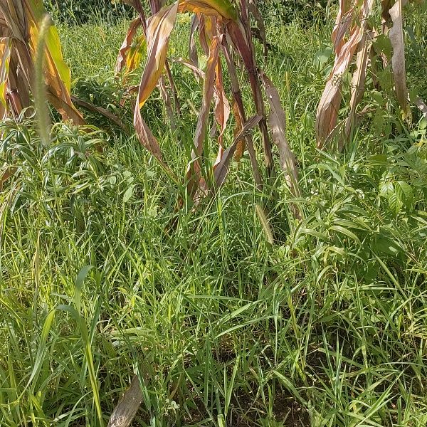 e19d182e9d126c5f4aa39a914d53a45