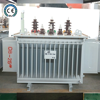 Oil Immersed Transformer