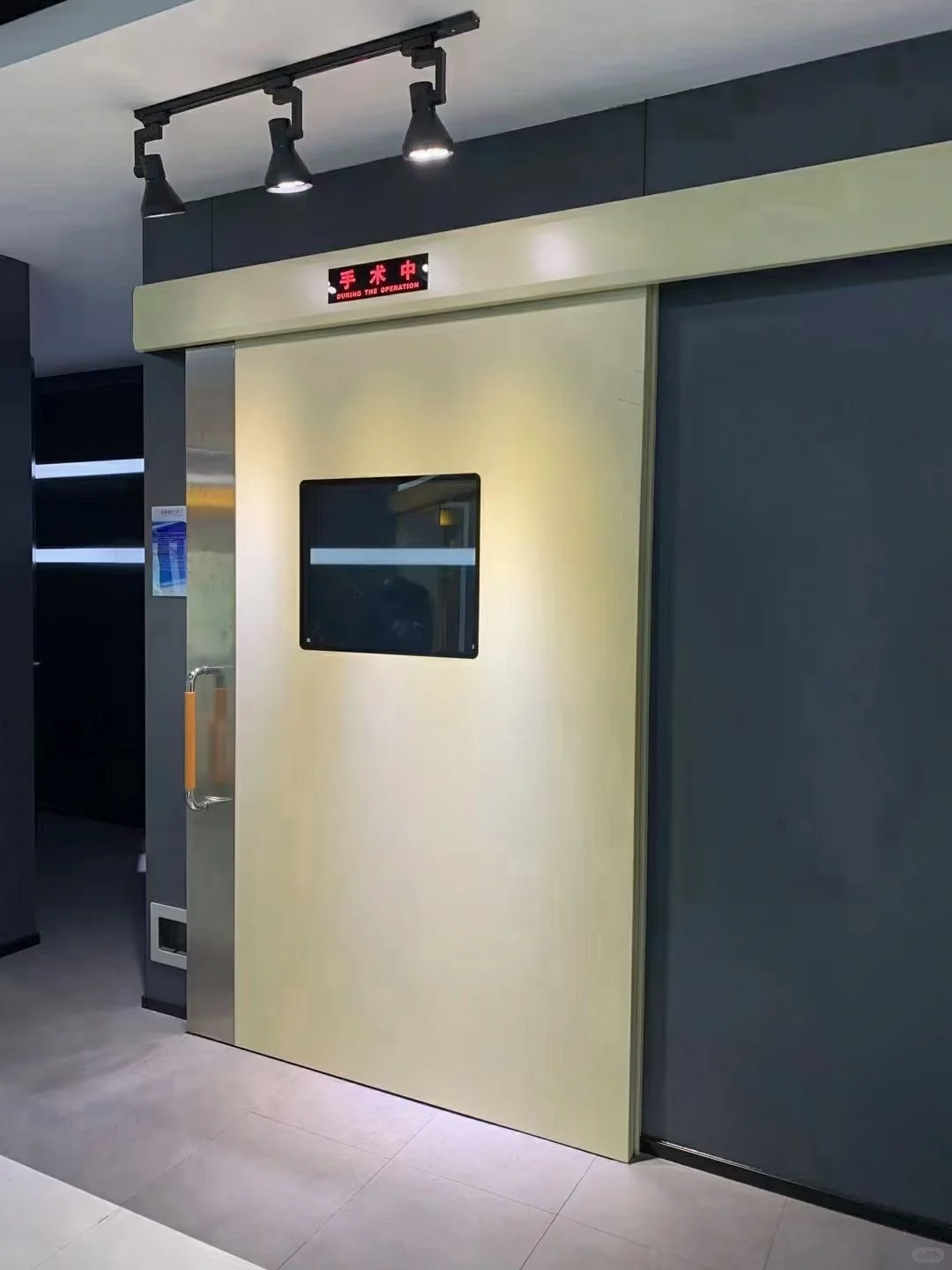 Manual swing lead door