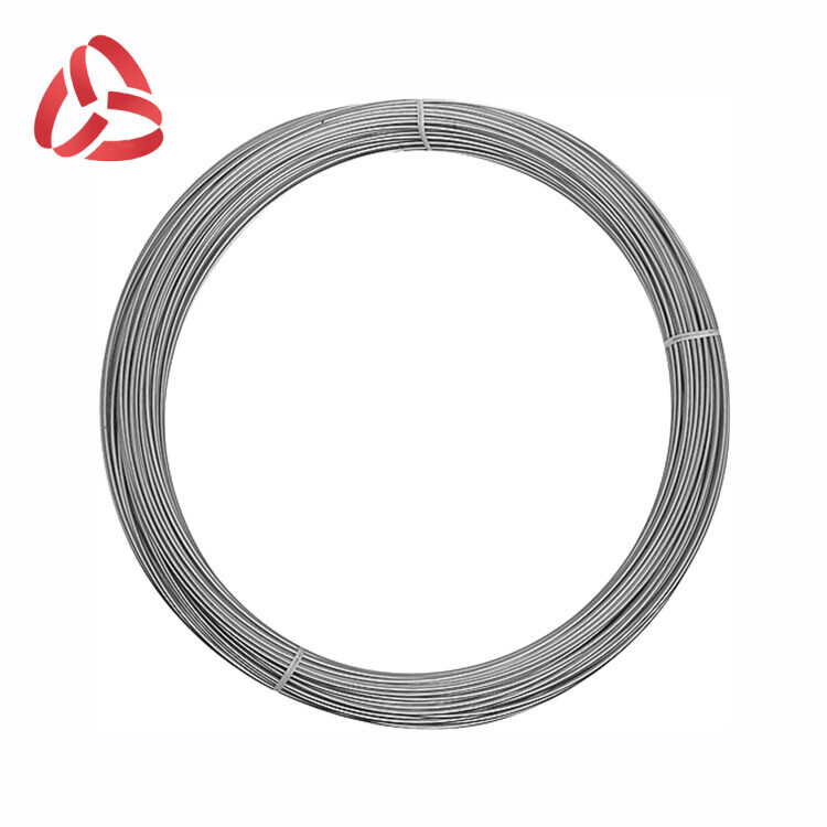 Stainless Steel Wire
