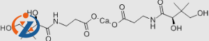 Calcium D-Pantothenate CAS#137-08-6