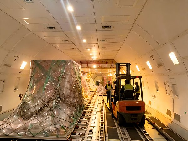 Packaging Transportation12