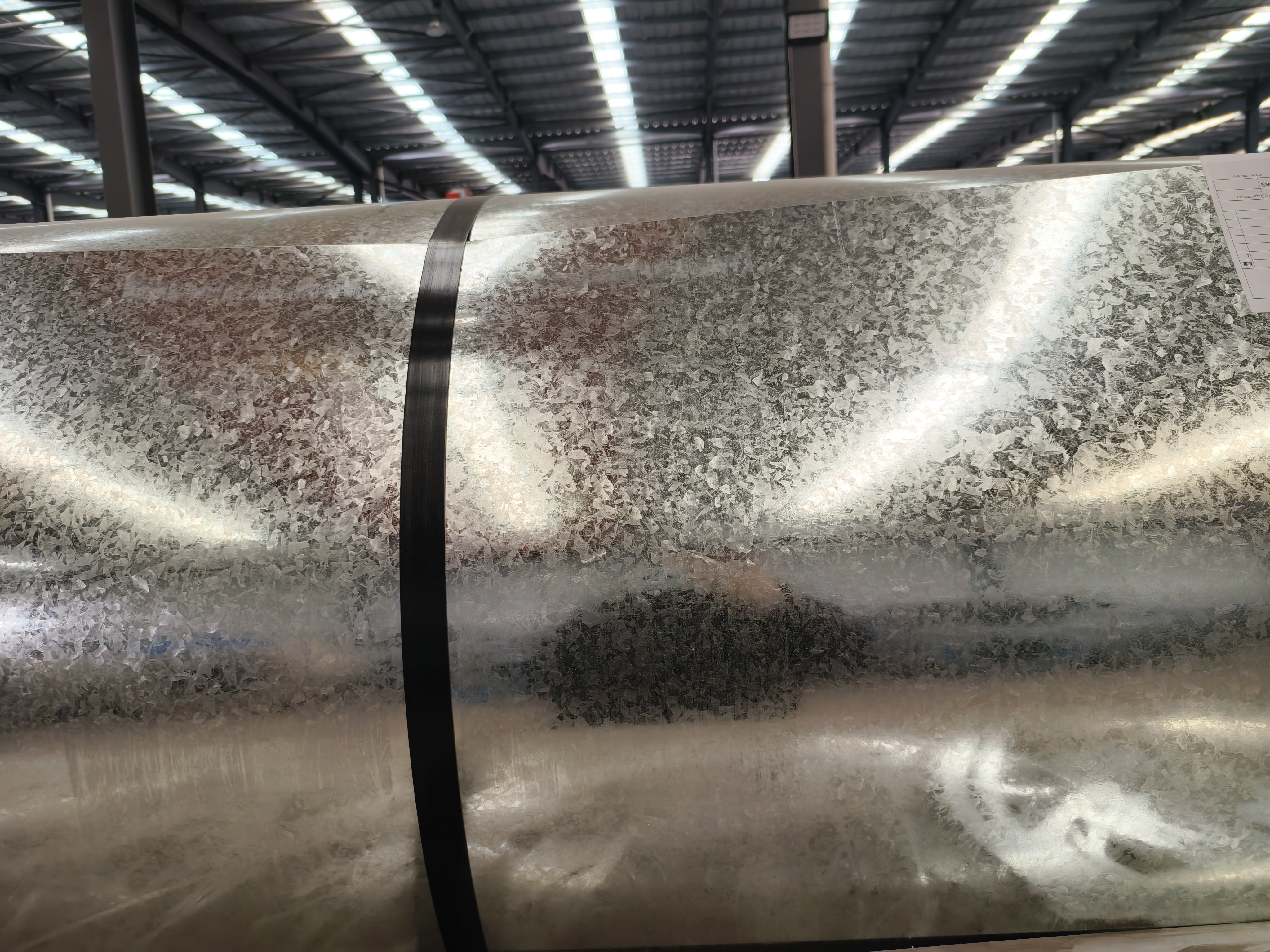 Galvanized Steel Coil