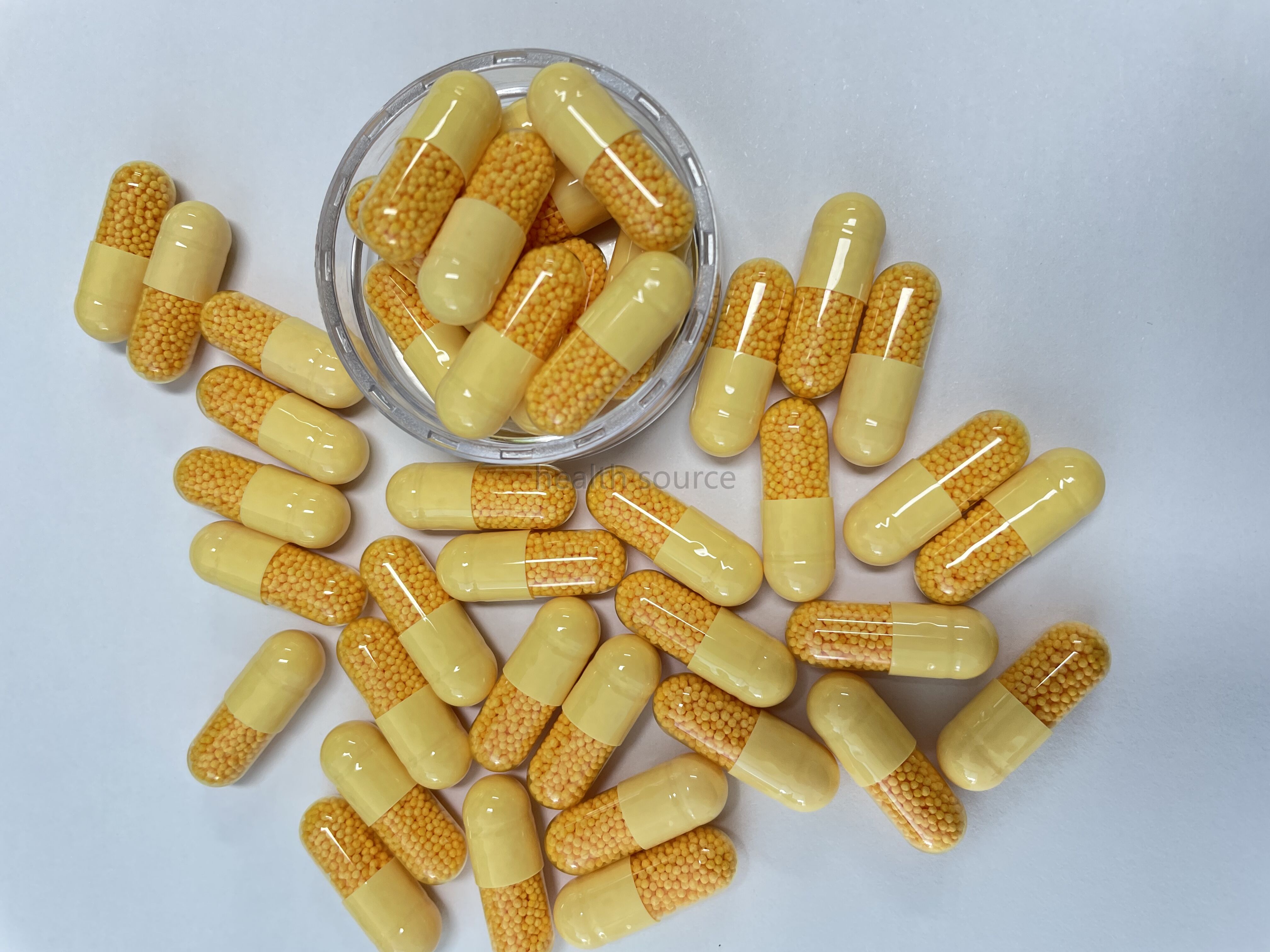 Coenzyme Q10 Time Released Micropellets