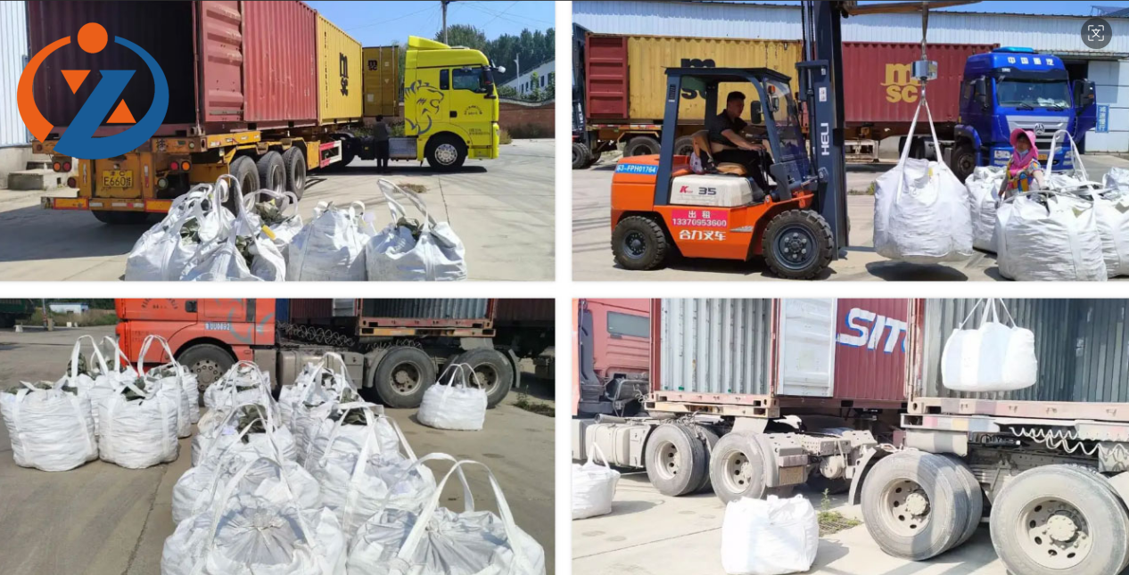 597a8d1b-31ce-4a96-bdff-fa87aa01ed36