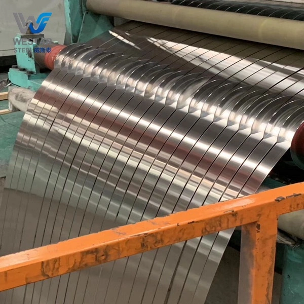 309 Stainless Strip