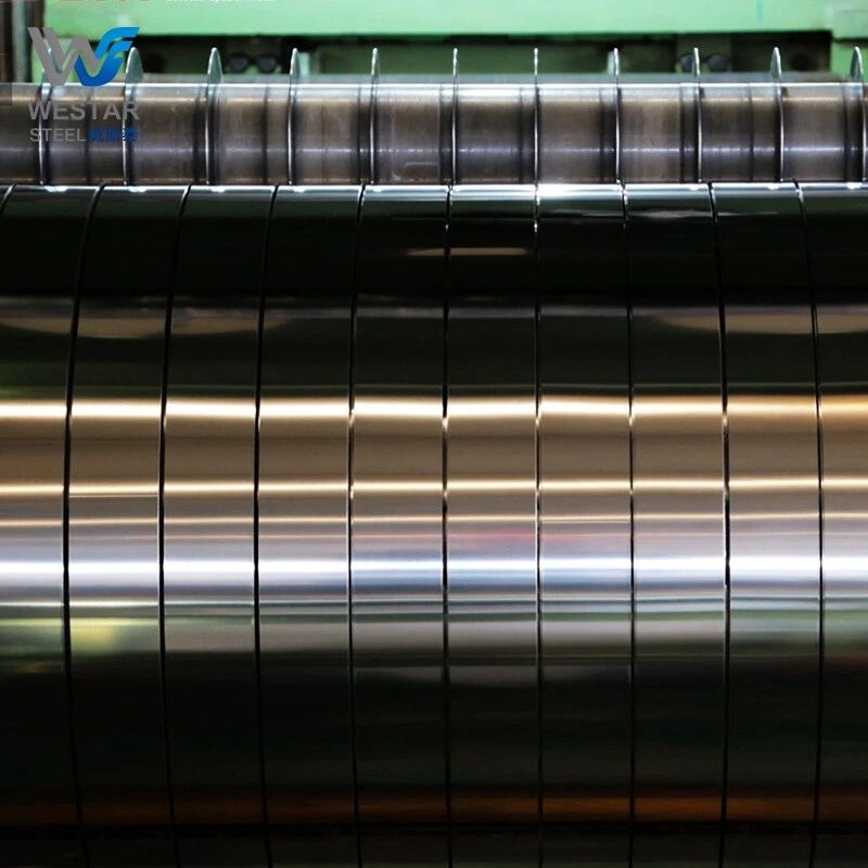 309 Stainless Strip