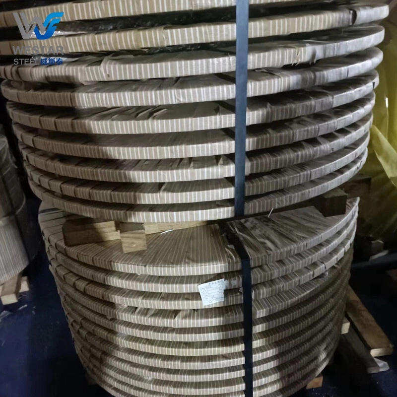 304 Stainless Strip