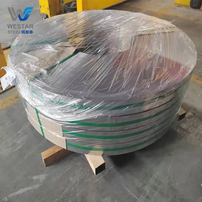 201 Stainless Strip